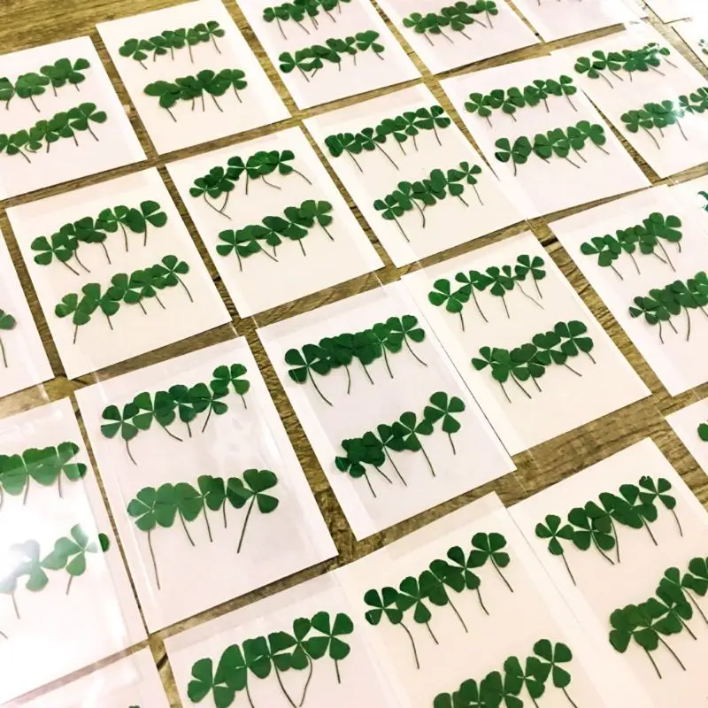 12Pcs 행운의 말린 잎 클로버 UV 수지 장식 네일 - Resin Art Baby 리뷰 및 가격